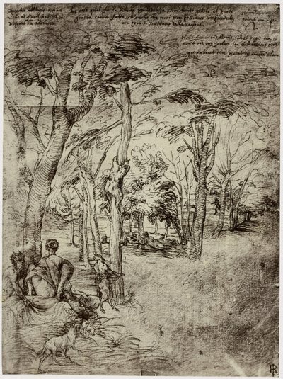 Titiaan, Design for a Picture tekijältä Philip Henry Delamotte
