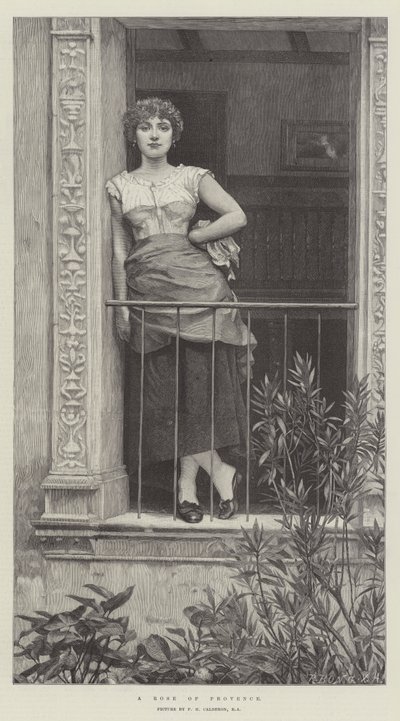 Provencen ruusu tekijältä Philip Hermogenes Calderon