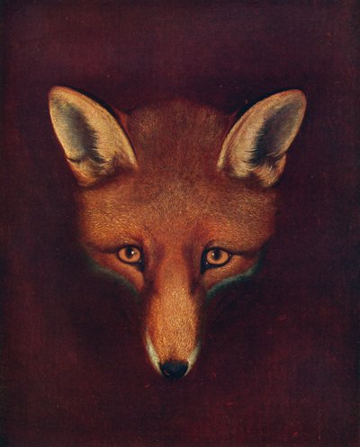 Renard the Fox, c1800, 1922 tekijältä Philip Reinagle
