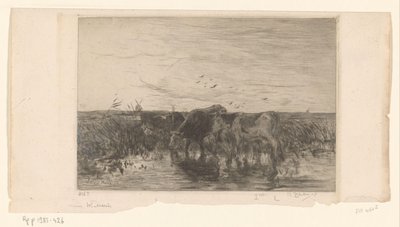 Lehmät lähellä vettä niityllä Vaches au bord de l