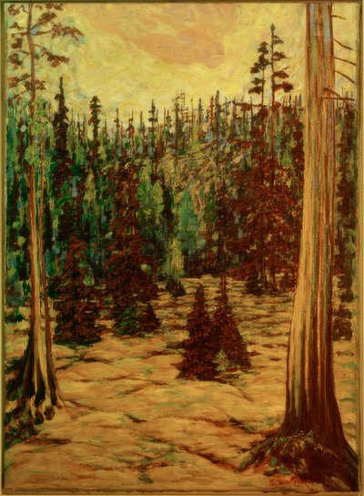 Sommerwald tekijältä Philipp Bauknecht