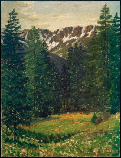 Metsämaisema, (maisema) tekijältä Philipp Bauknecht