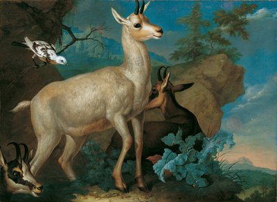 Kolme säämiskää ja mustarastas tekijältä Philipp Ferdinand de Hamilton