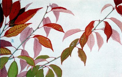 Autumn Leaves, kirjoittanut Philippe Robert, Robert Ried -painokset tekijältä Philippe Robert