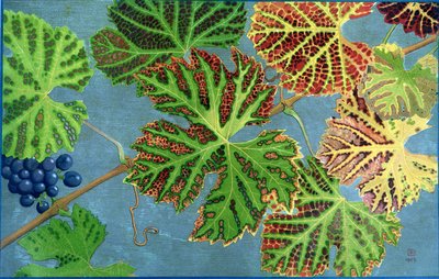 Autumn Leaves, kirjoittanut Philippe Robert, Robert Ried -painokset tekijältä Philippe Robert