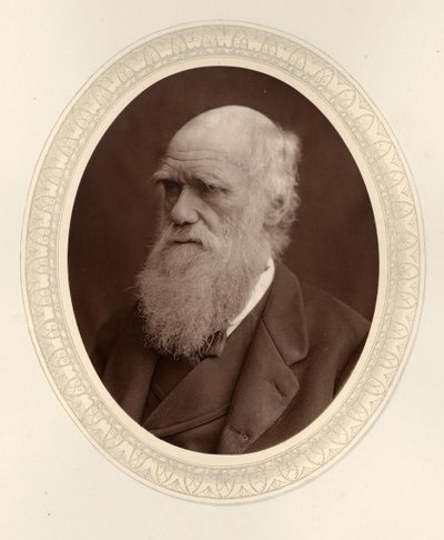 Charles Darwinin muotokuva 1809-1882, 1877. tekijältä Photo studio Lock and Whitfield