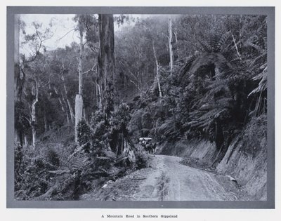 Vuoristotie Etelä-Gippslandissa (m/w kuva) tekijältä Photographer Australian