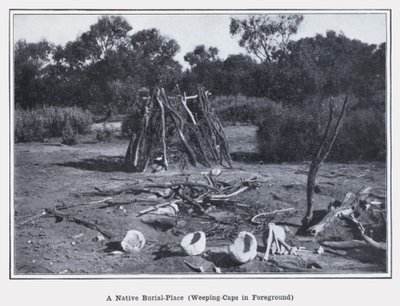 Alkuperäinen hautauspaikka, itkuhatut etualalla (m/w kuva) tekijältä Photographer Australian