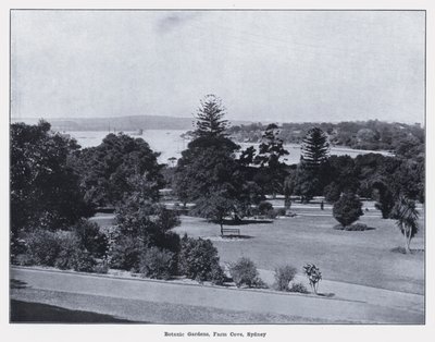 Kasvitieteellinen puutarha, Farm Cove, Sydney (m/v kuva) tekijältä Photographer Australian