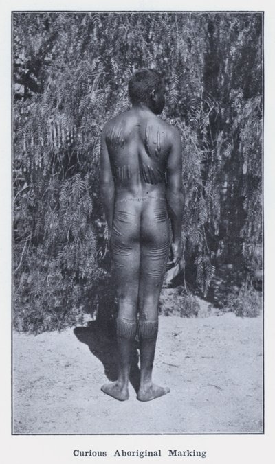 Utelias aboriginaalimerkintä (m/w kuva) tekijältä Photographer Australian