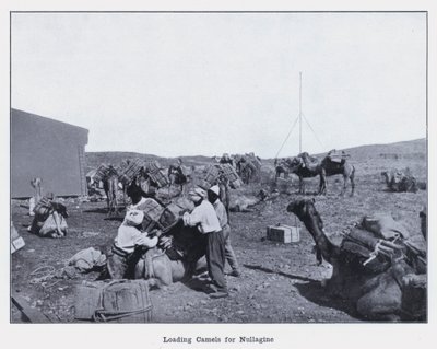 Ladataan kameleja Nullaginelle (m/w kuva) tekijältä Photographer Australian