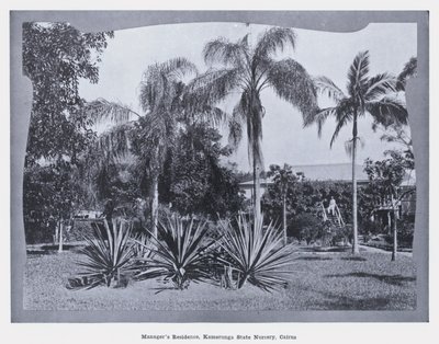 Johtajan asuinpaikka, Kamerunga State Nursery, Cairns (m/v kuva) tekijältä Photographer Australian