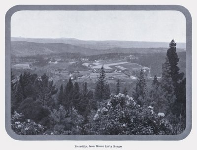Piccadilly, Mount Lofty Rangesista (m/w kuva) tekijältä Photographer Australian