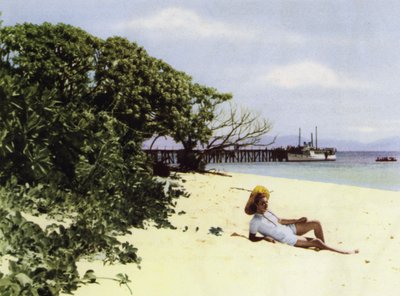 Queensland, Australia: Tropical Beach (kuva) tekijältä Photographer Australian