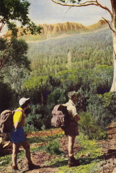 Tasmania: Vaeltajia lähellä Olympus-vuorta (värikuva) tekijältä Photographer Australian