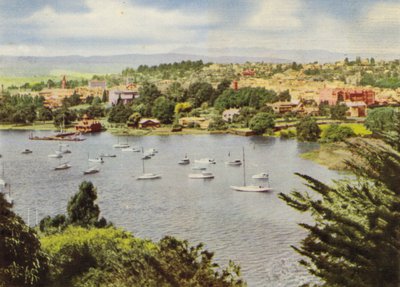 Tasmania: Näköala Launcestoniin (värikuva) tekijältä Photographer Australian