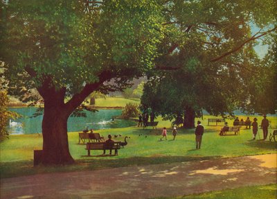 Kasvitieteellinen puutarha, Melbourne (värivalokuva) tekijältä Photographer Australian