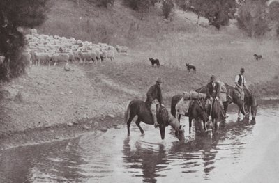 Loput, tyypilliset australialaiset Stockmen (m/w kuva) tekijältä Photographer Australian