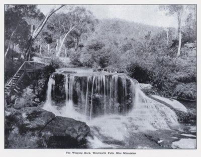 Weeping Rock, Wentworth Falls, Blue Mountains (m/w kuva) tekijältä Photographer Australian