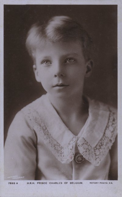 Belgian prinssi Charles, Flanderin kreivi (m/w kuva) tekijältä Photographer Belgian