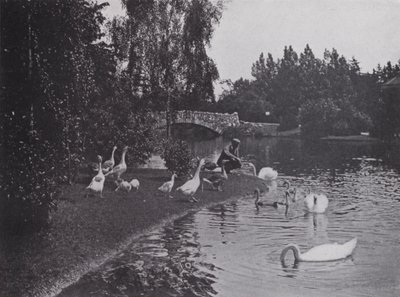 Lake, Beacon Hill Park, Victoria, Brittiläinen Kolumbia (m/w kuva) tekijältä Photographer Canadian