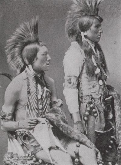 Kaksi Blackfoot Bravea (m/w kuva) tekijältä Photographer Canadian