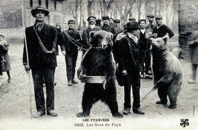 Karhunäyttelyt Pyreneillä, noin 1900 (s/w-kuva). tekijältä Photographer French
