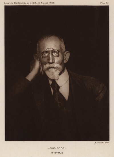 Ernest Marie Louis Bedel, ranskalainen hyönteistutkija (m/w kuva) tekijältä Photographer French