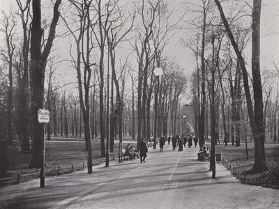 In the Tiergarten, Ahornsteig (m/w kuva) tekijältä Photographer German