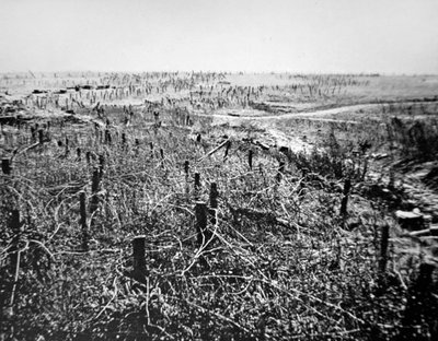 Saksan Beaurevoir-aseman piikkilankapuolustus, osa Hindenburgin linjaa tekijältä Photographer German