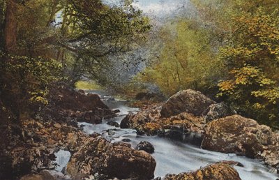 Irlanti: In The Dargle, County Wicklow (värillinen valokuva) tekijältä Photographer Irish
