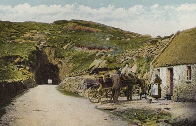 Etelä-Irlanti: Tunneli lähellä Glengarriffia, Corkin kreivikunta (värillinen kuva) tekijältä Photographer Irish