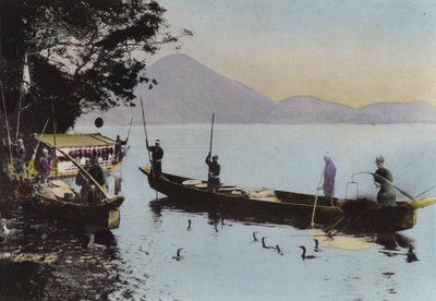 Japani, n. 1912: Kalastus merimetsolla, Nagaragawa (kuva) tekijältä Photographer Japanese