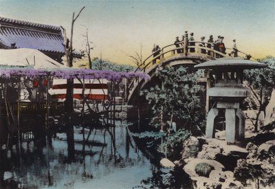 Japani, n. 1912: Kameidon temppelin maaperä Wisteria kukkii toukokuussa ja Drum Bridge -sillassa (kuva) tekijältä Photographer Japanese