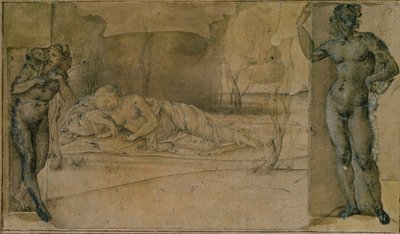 Ariadne Deserted (lyijykynä) tekijältä Piero di Cosimo