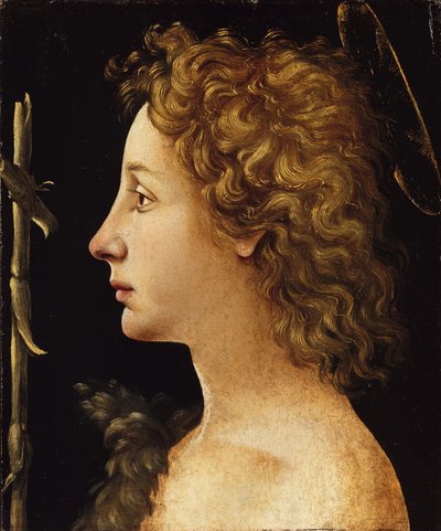 Nuori Johannes Kastaja (tempera ja öljy, puu) tekijältä Piero di Cosimo