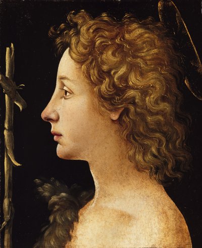 Nuori Pyhä Johannes Kastaja, n. 1480-82. tekijältä Piero di Cosimo