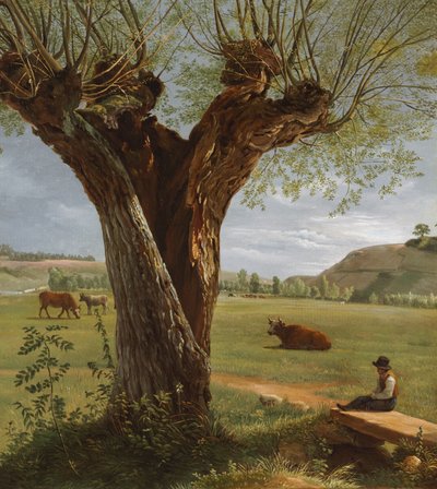 Pollardin paju, vuoden 1804 jälkeen (öljy paperille, kiinnitetty kankaalle). tekijältä Pierre Jean Boquet