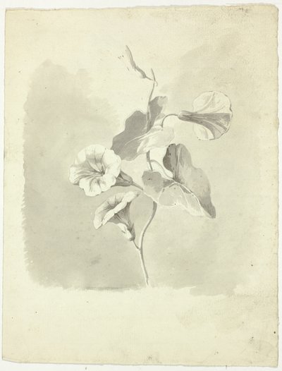 Aamunkirkot tekijältä Pierre Antoine Mongin