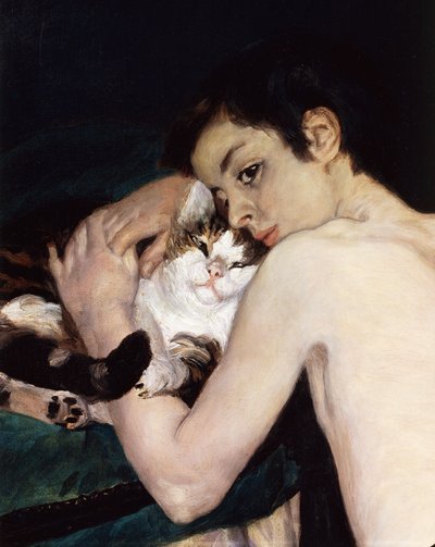 Poika kissan kanssa, kirjoittanut Pierre-Auguste Renoir tekijältä Pierre-Auguste Renoir