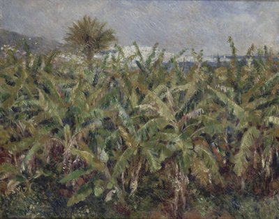 Banaanipuupelto Champ de bananiers, 1881 tekijältä Pierre-Auguste Renoir