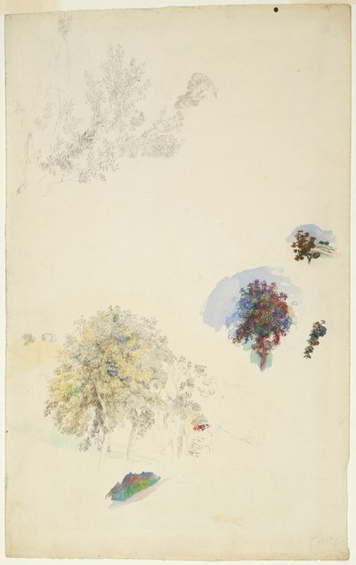 Puiden ja lehtien tutkimukset tekijältä Pierre Auguste Renoir