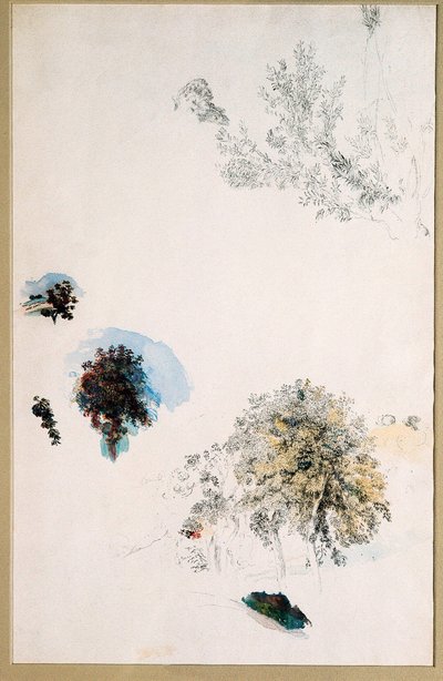 Puiden tutkimukset tekijältä Pierre Auguste Renoir