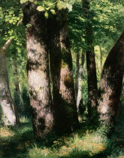 Tuntematon kuva tekijältä Pierre Auguste Renoir