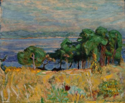 Die Bucht von Saint-Tropez tekijältä Pierre Bonnard