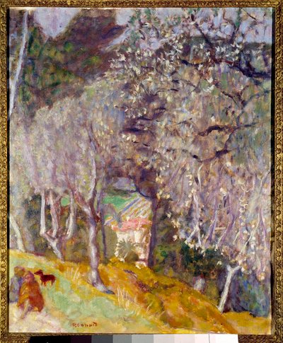 Talo oliiveissa tekijältä Pierre Bonnard