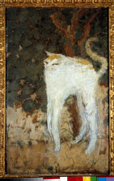 Valkoinen Kissa tekijältä Pierre Bonnard