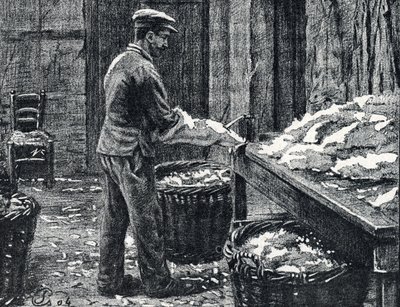 Couro: divisão de peles de coelho para fazer couro Gravura de “Excursion a travers les metiers” de Pierre Calmette Private Collectionfinlandês tekijältä Pierre Calmettes