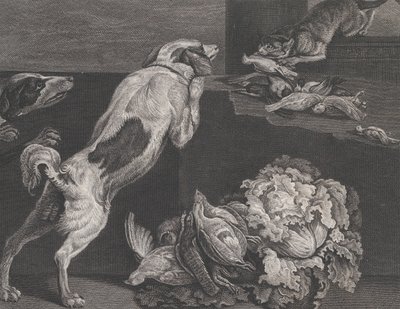 Koirat ja asetelmat, 1778 tekijältä Pierre Charles Canot