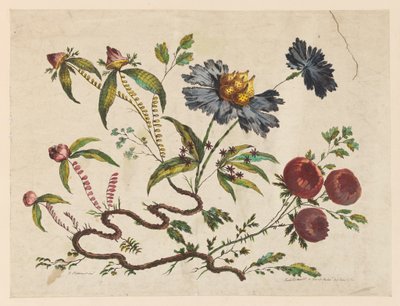 Tuloste, Kukkien oksat, teoksesta "Recueil de Differentes Fleurs de Fantaisie Dans le Goût Chinois". tekijältä Pierre Charles Canot